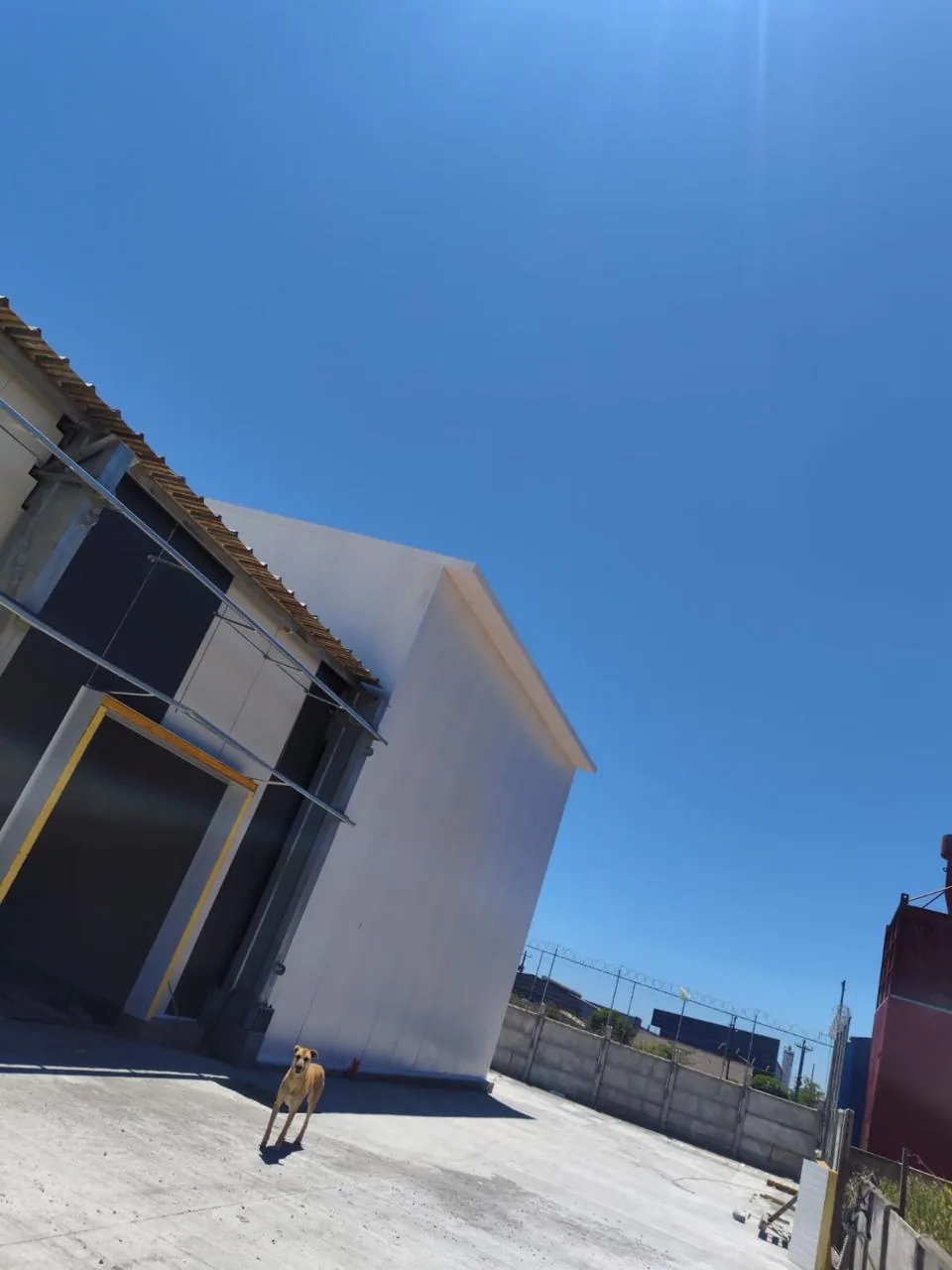 Edificio de refrigeración construido por Magfrio con el entorno industrial de la Región del Biobío